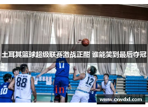 土耳其篮球超级联赛激战正酣 谁能笑到最后夺冠 土耳其篮球超级联赛激战正酣 谁能笑到最后夺冠